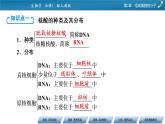 第2章 5同步课件