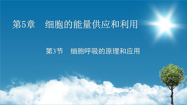 第5章 3同步课件第1页