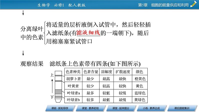 第5章 4同步课件08