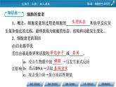 第6章 3同步課件