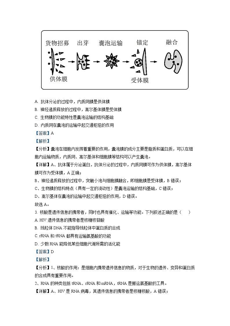 浙江省杭州市二中学2022-2023学年高三生物下学期3月月考试题（Word版附解析）第2页