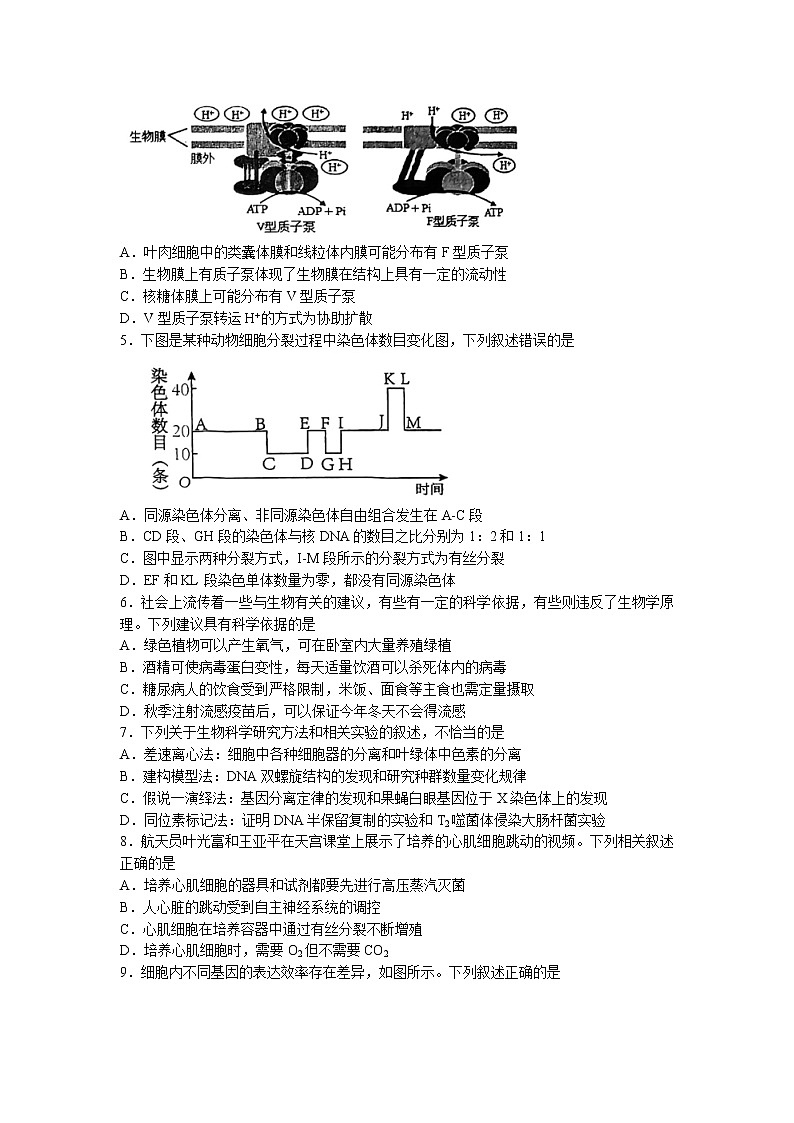 天津市部分区2022-2023学年高三下学期质量调查（一）（一模）生物试题 Word版含答案02