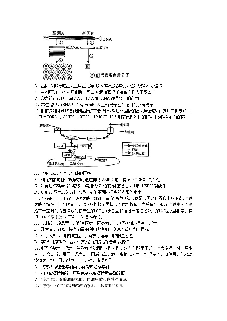 天津市部分区2022-2023学年高三下学期质量调查（一）（一模）生物试题 Word版含答案03