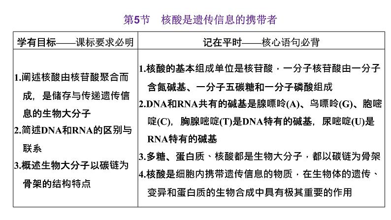 第5节  核酸是遗传信息的携带者课件PPT01