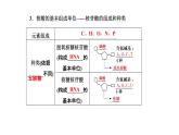 第5节  核酸是遗传信息的携带者课件PPT