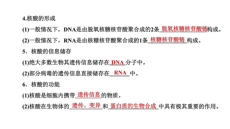 第5节  核酸是遗传信息的携带者课件PPT04