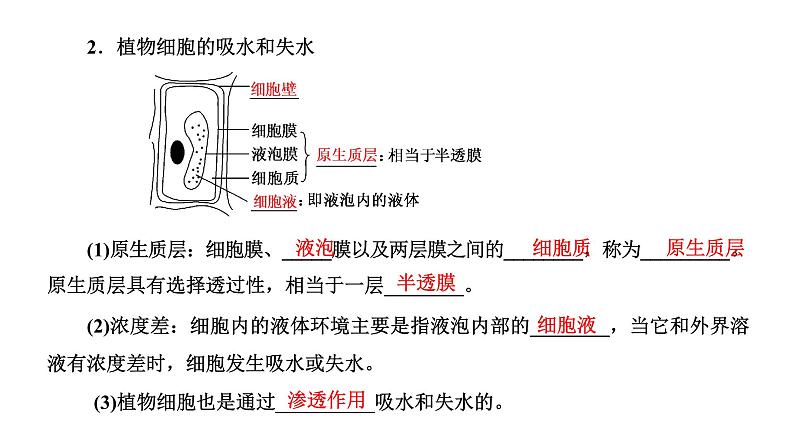 第1节  第1课时  水进出细胞的原理课件PPT第8页