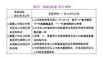 生物第2节 细胞的能量“货币”ATP备课ppt课件