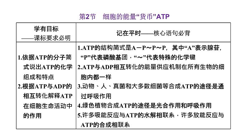 第2节  细胞的能量“货币”ATP课件PPT01
