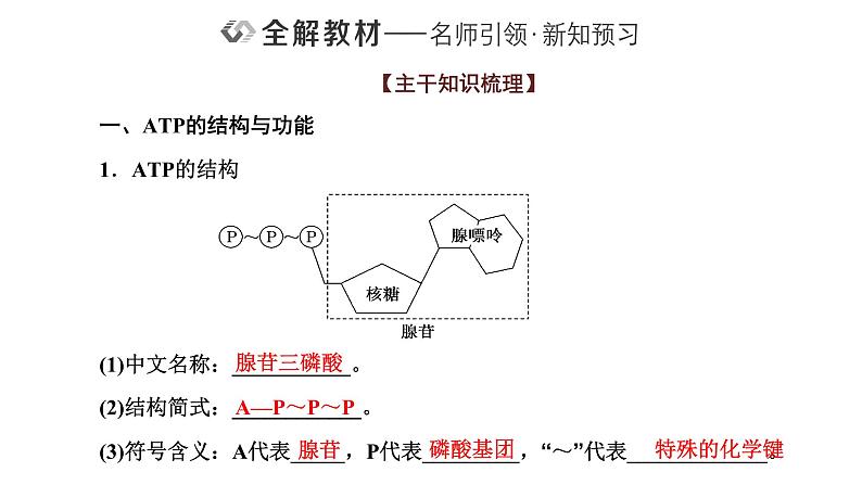第2节  细胞的能量“货币”ATP课件PPT02