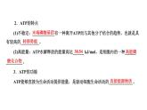第2节  细胞的能量“货币”ATP课件PPT