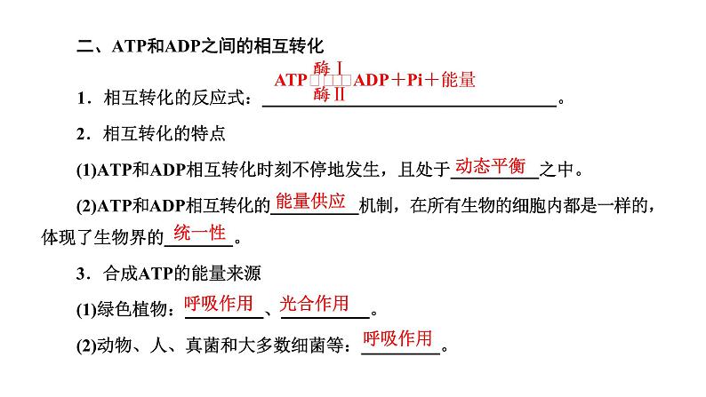 第2节  细胞的能量“货币”ATP课件PPT04