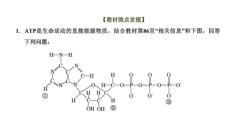 第2节  细胞的能量“货币”ATP课件PPT07