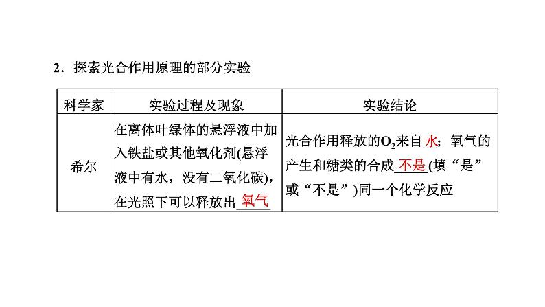 第4节  第2课时  光合作用的原理课件PPT03