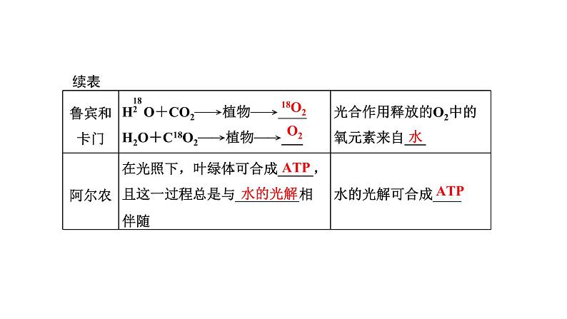 第4节  第2课时  光合作用的原理课件PPT04
