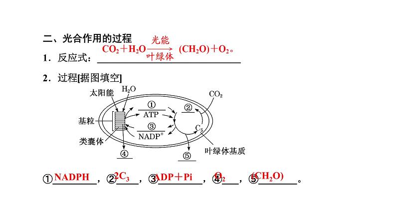 第4节  第2课时  光合作用的原理课件PPT05