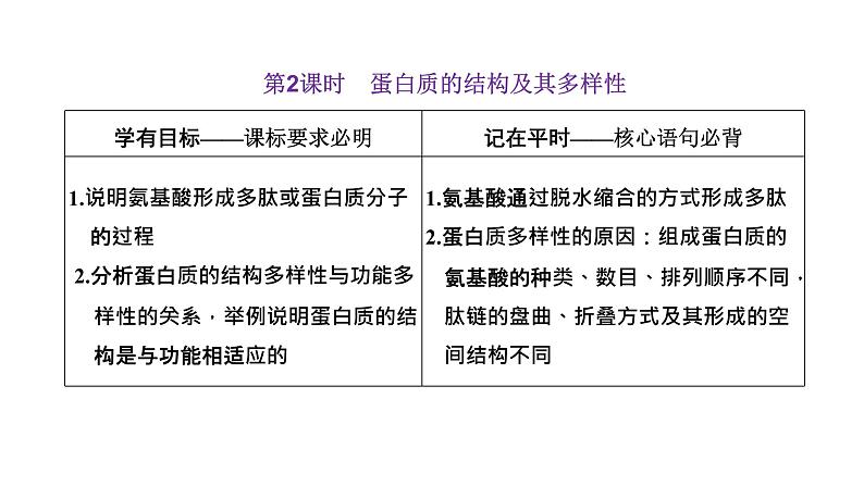 第4节  第2课时  蛋白质的结构及其多样性课件PPT第1页