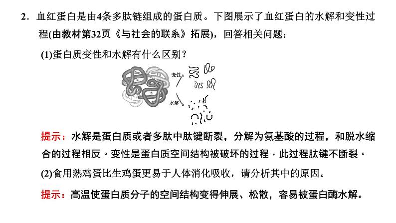 第4节  第2课时  蛋白质的结构及其多样性课件PPT第7页