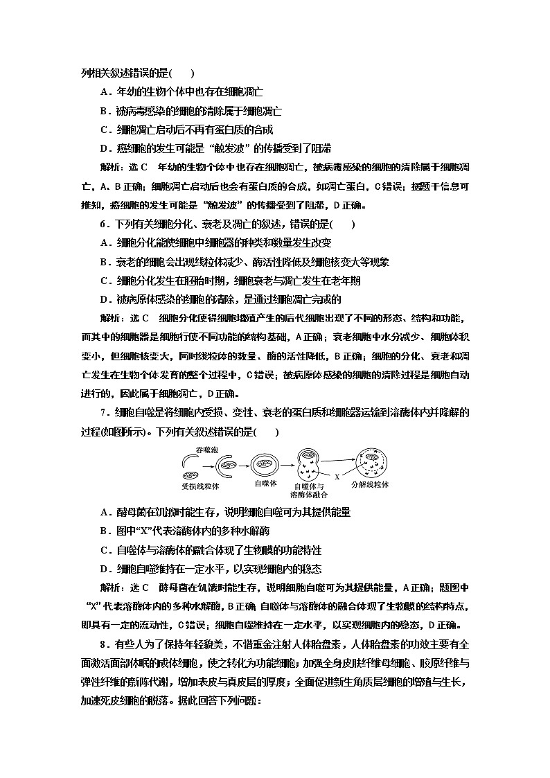 课时跟踪检测（二十七）  细胞的衰老和死亡02