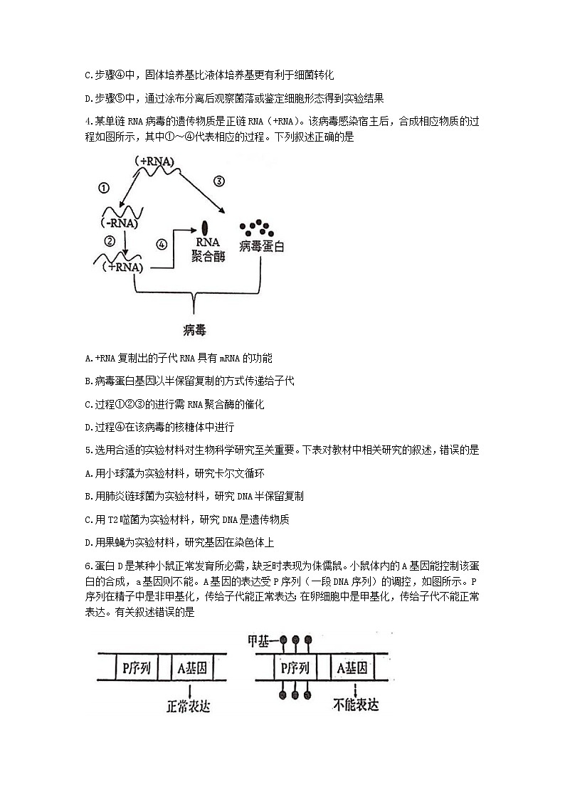 2022-2023学年天津市耀华中学高三上学期第二次（11月）月考生物试题含答案02