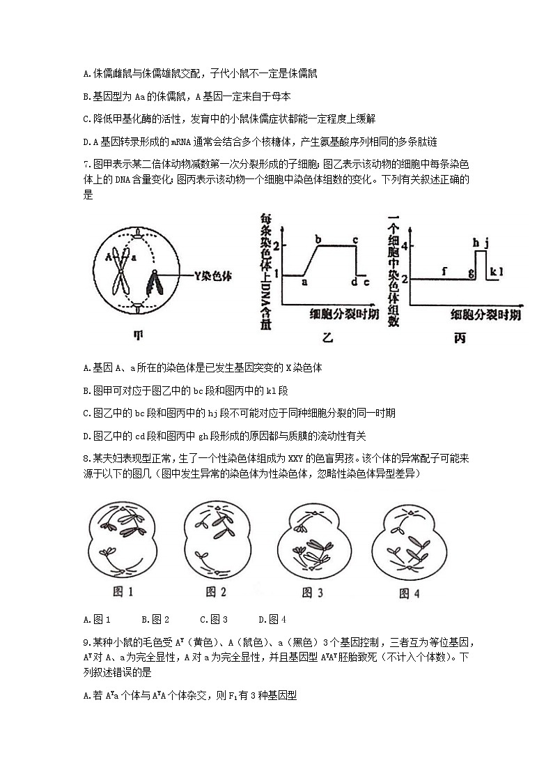 2022-2023学年天津市耀华中学高三上学期第二次（11月）月考生物试题含答案03