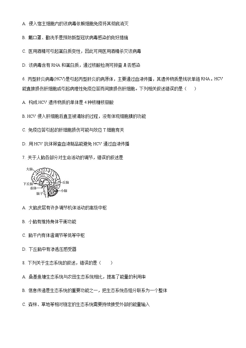 2022-2023学年新疆维吾尔自治区喀什第六中学高三上学期9月实用性月考（一）生物试题含答案第2页