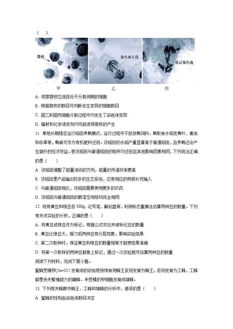 2022-2023学年浙江省北斗星盟高三上学期适应性考试生物试题含解析第3页