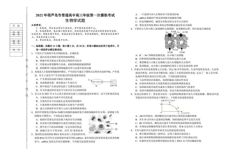 2022届辽宁省葫芦岛市普通高中高三第一次模拟考试生物试题 PDF版第1页