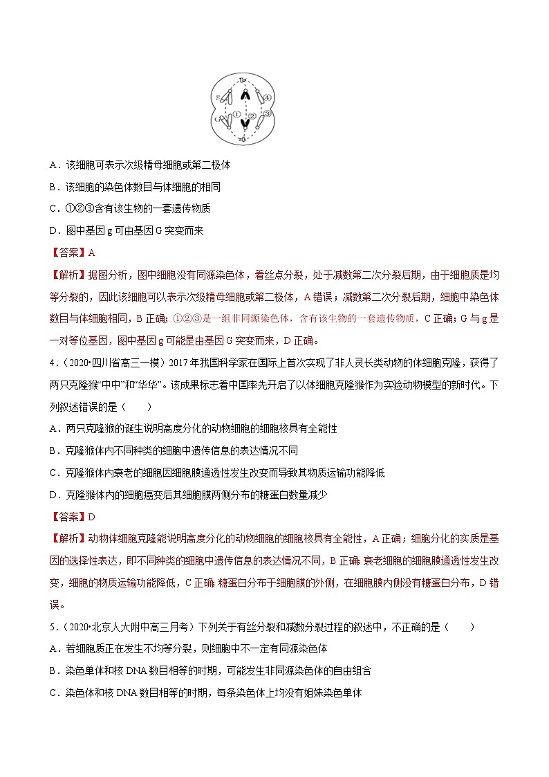 高中生物高考专题03 细胞的生命历程（解析版）02