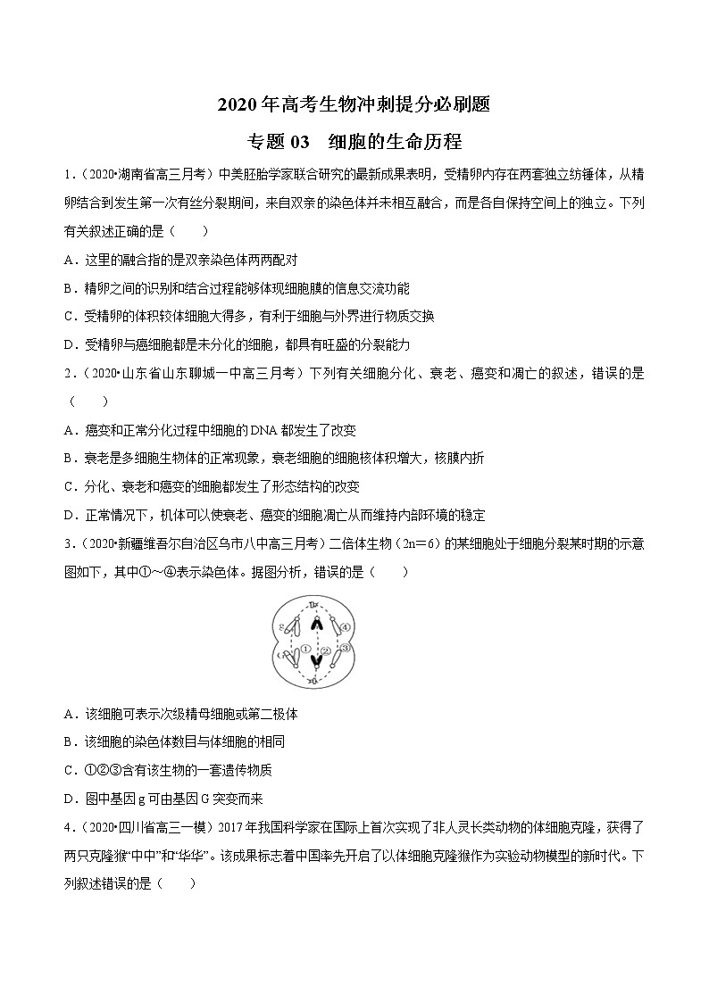 高中生物高考专题03 细胞的生命历程（原卷版）第1页