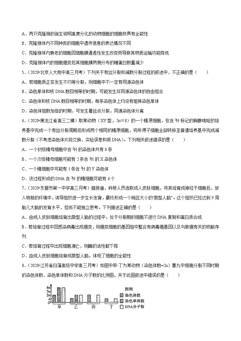 高中生物高考专题03 细胞的生命历程（原卷版）第2页