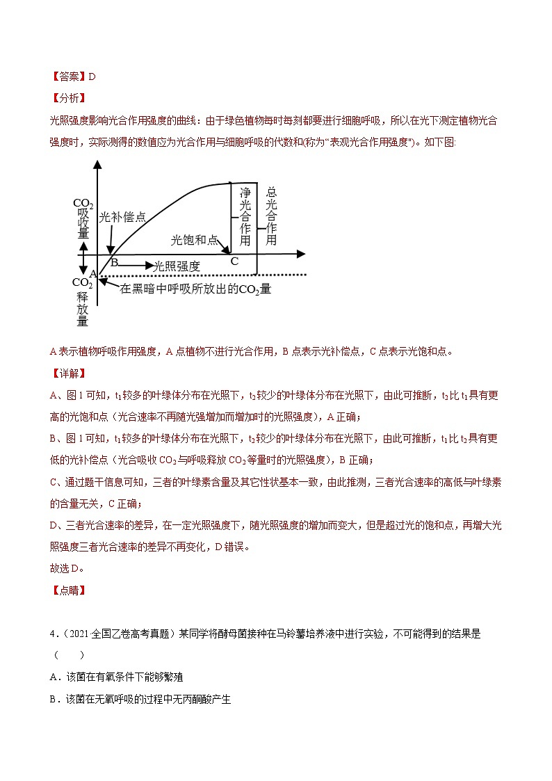 高中生物高考专题03 细胞呼吸与光合作用-2021年高考真题和模拟题生物分项汇编（解析版）第3页