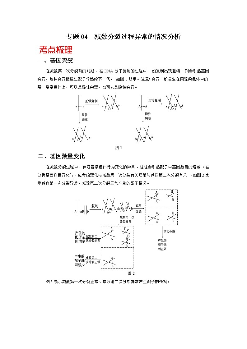 高中生物高考专题04 减数分裂过程异常的情况分析-备战2021年高考生物核心考点透析（解析版）第1页