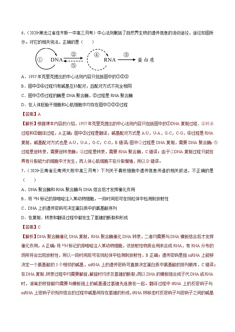 高中生物高考专题04 遗传的分子基础（解析版）第3页
