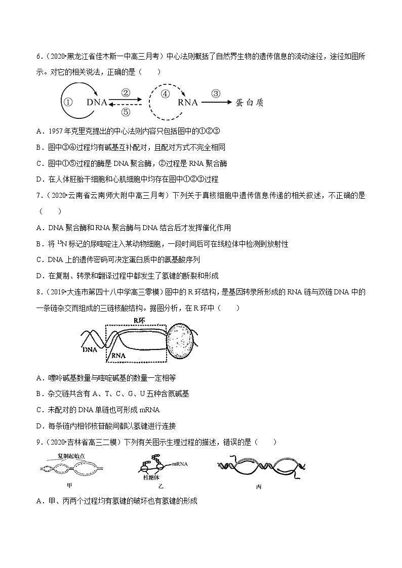 高中生物高考专题04 遗传的分子基础（原卷版）02
