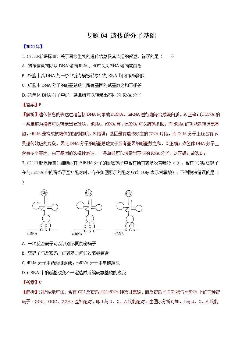 高中生物高考专题04 遗传的分子基础-十年（2011-2020）高考真题生物分项详解（解析版）第1页
