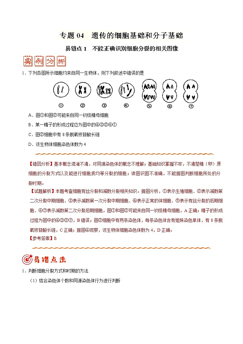 高中生物高考专题04 遗传的细胞基础和分子基础-备战2019年高考生物之纠错笔记系列（解析版）第1页