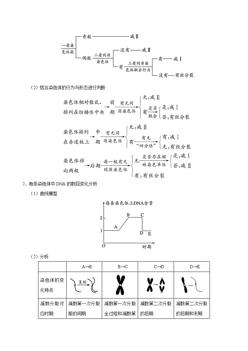 高中生物高考专题04 遗传的细胞基础和分子基础-备战2019年高考生物之纠错笔记系列（解析版）第2页