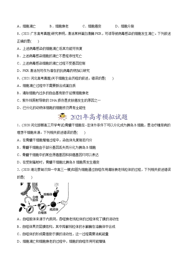 高中生物高考专题05 细胞的分化、衰老、凋亡及癌变-2021年高考生物真题与模拟题分类训练（学生版）03