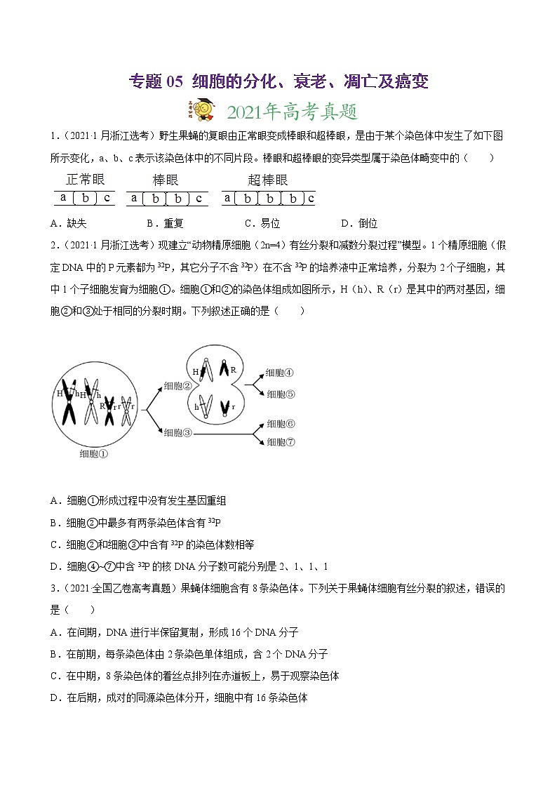 高中生物高考专题05 细胞的分化、衰老、凋亡及癌变-2021年高考真题和模拟题生物分项汇编（原卷版）第1页