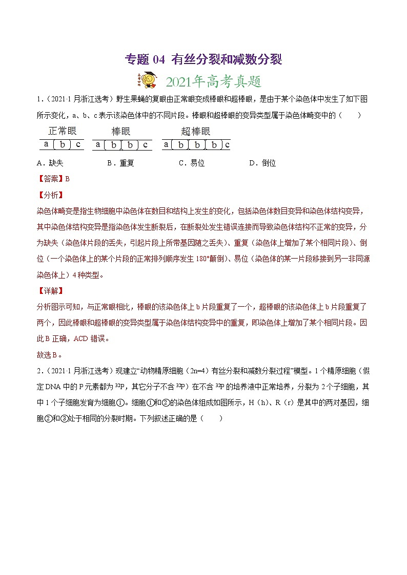 高中生物高考专题04 有丝分裂和减数分裂-2021年高考真题和模拟题生物分项汇编（解析版）01