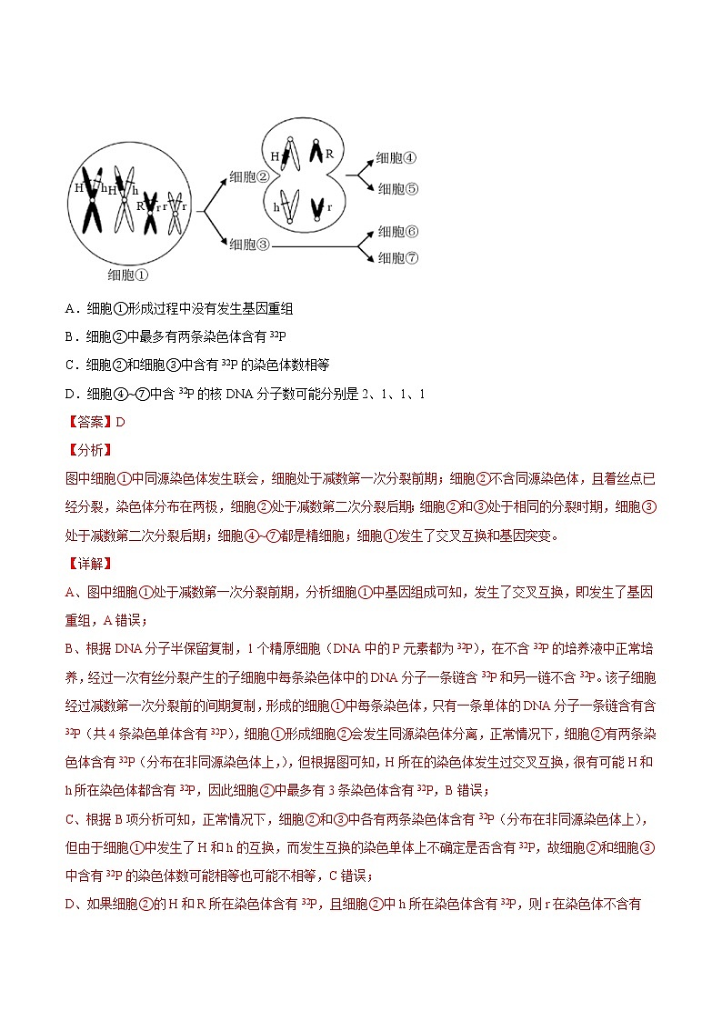 高中生物高考专题04 有丝分裂和减数分裂-2021年高考真题和模拟题生物分项汇编（解析版）02