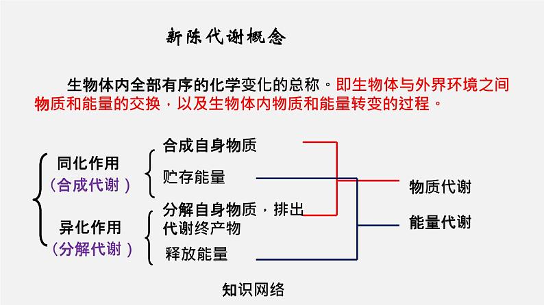 高中生物高考专题05 酶和ATP-2020年高考备考生物二轮复习课件03