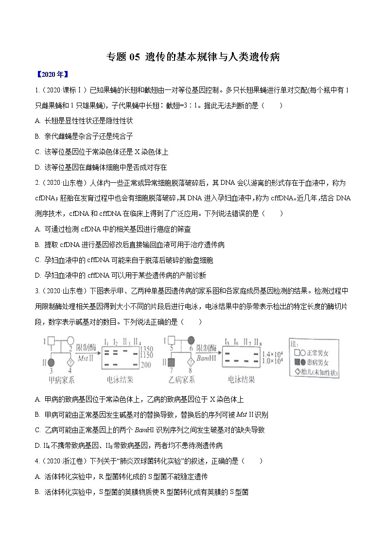 高中生物高考专题05 遗传的基本规律与遗传病-十年（2011-2020）高考真题生物分项详解（原卷版）第1页
