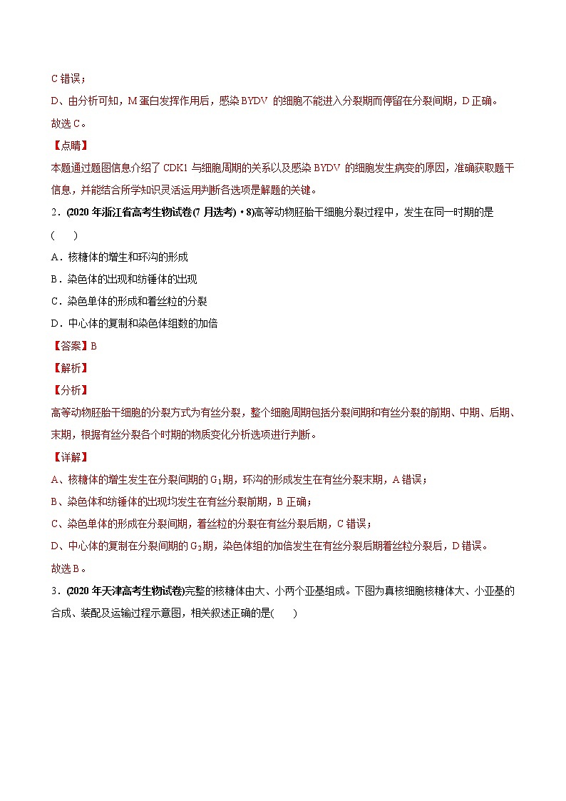 高中生物高考专题05 有丝分裂和减数分裂-2020年高考真题和模拟题生物分项汇编（教师版含解析）第2页