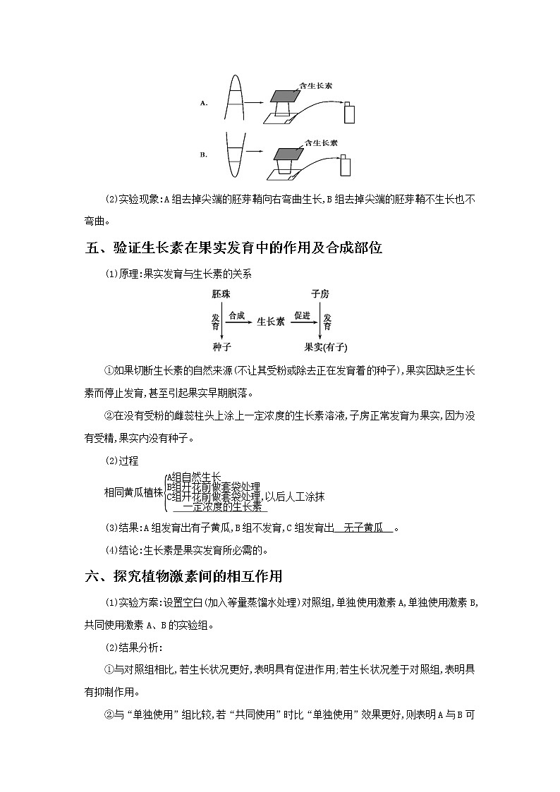 高中生物高考专题06 植物激素的相关实验探究-备战2021年高考生物核心考点透析（解析版）第2页