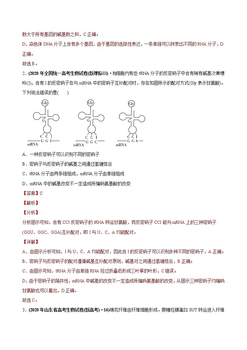 高中生物高考专题07 DNA的结构、复制及基因表达-2020年高考真题和模拟题生物分项汇编（教师版含解析）第2页