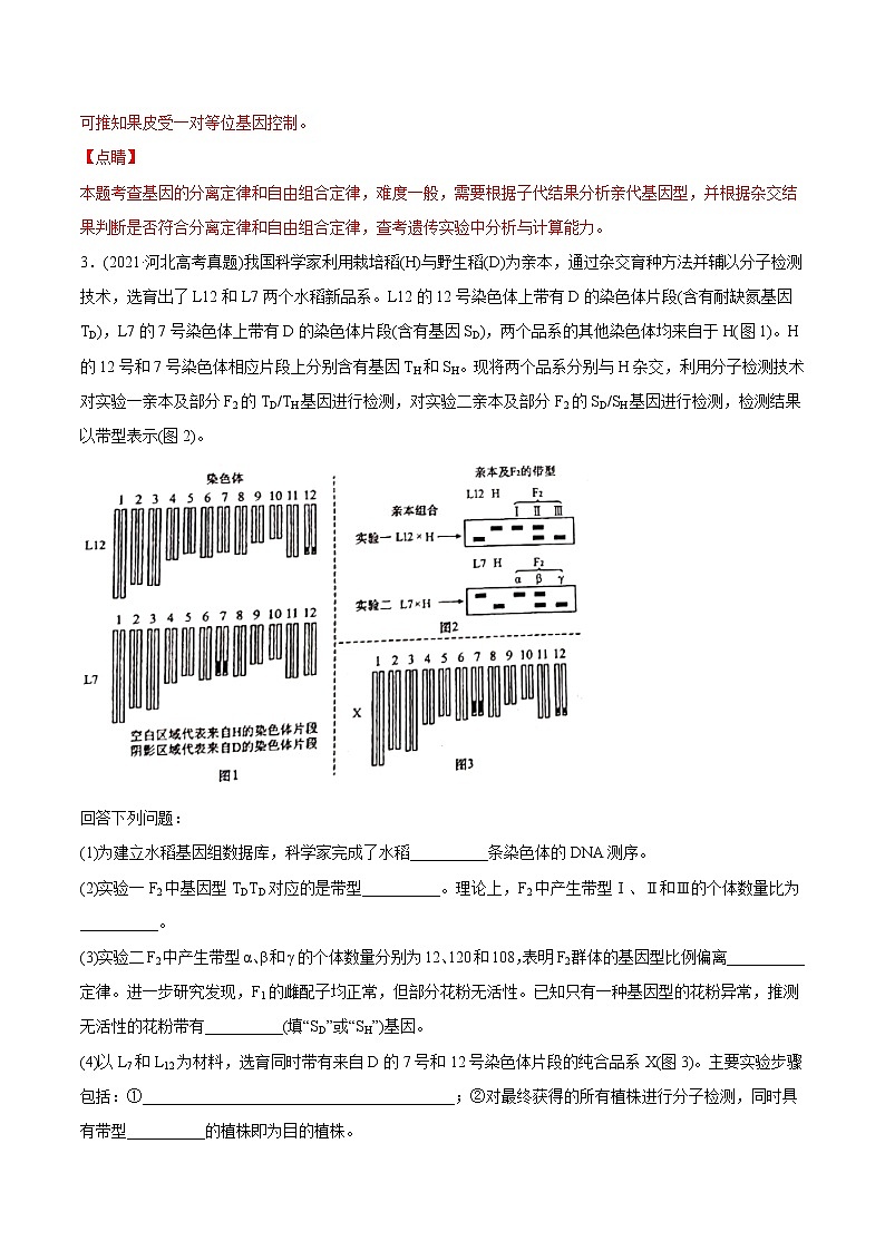 高中生物高考专题07 基因的分离定律-2021年高考生物真题与模拟题分类训练（教师版含解析）03