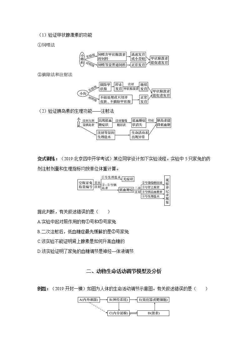 高中生物高考专题08 动物生命活动调节实验探究（原卷版）第2页