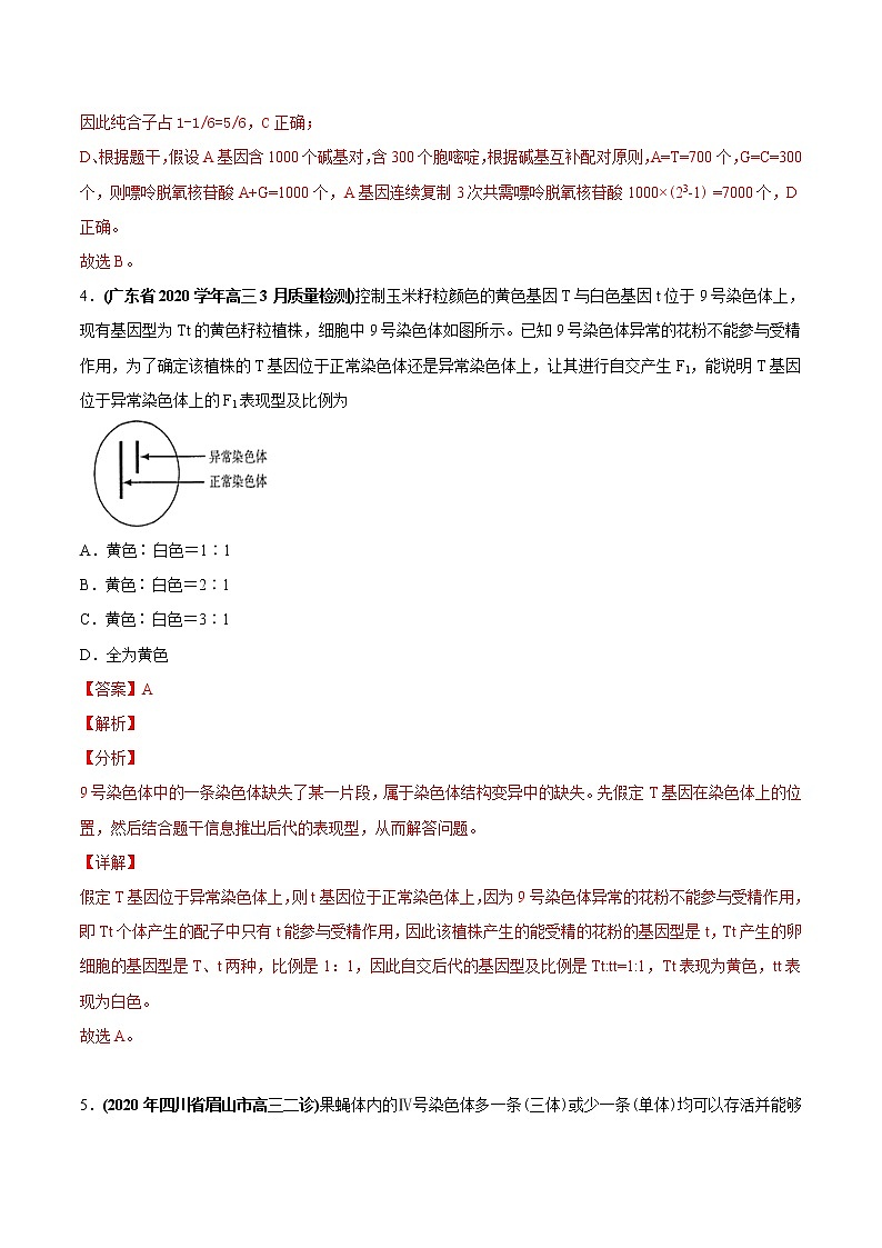 高中生物高考专题08 基因的分离定律-2020年高考真题和模拟题生物分项汇编（教师版含解析）第3页